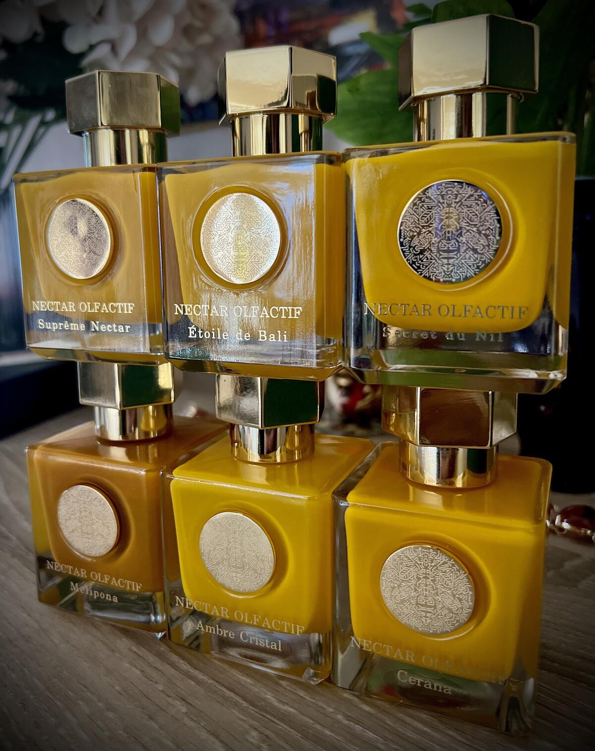 Nectar Olfactif – Discovery Kit - Extrait 2ml (6 Sample)