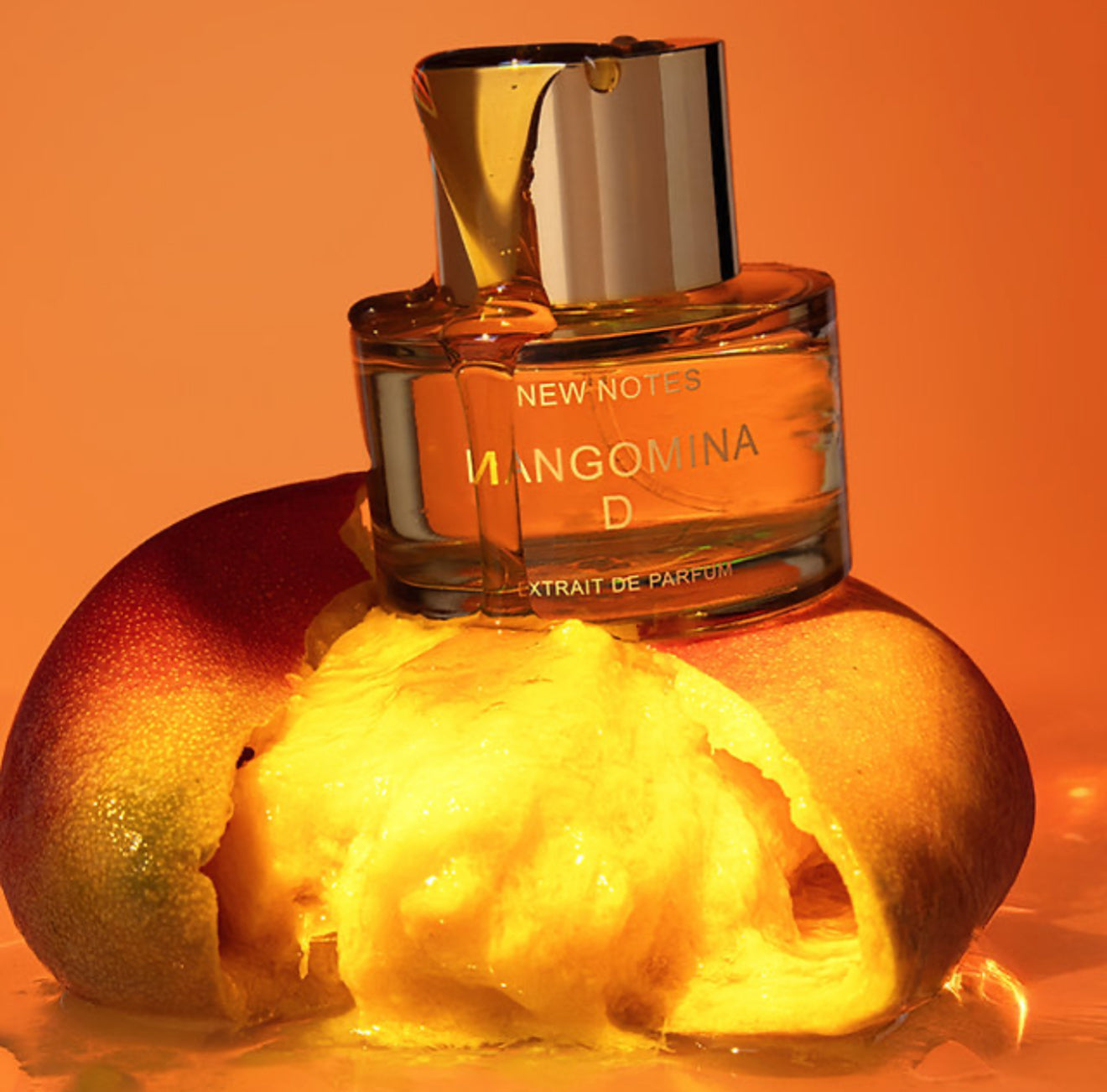 New notes - Mangomina D - extrait de parfum 60 ml