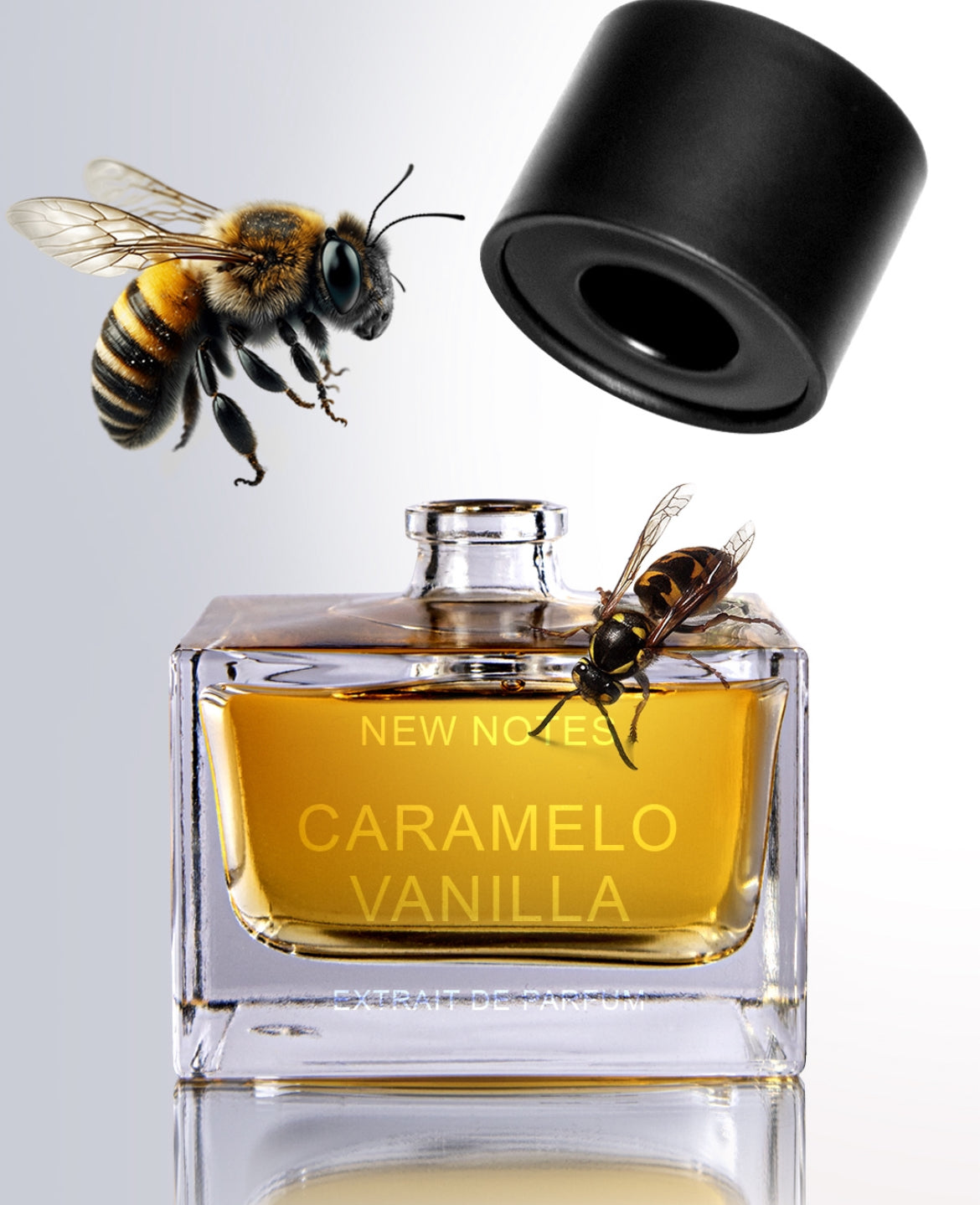 New Notes - CARAMELO VANILLA Extrait de Parfum 50 ml