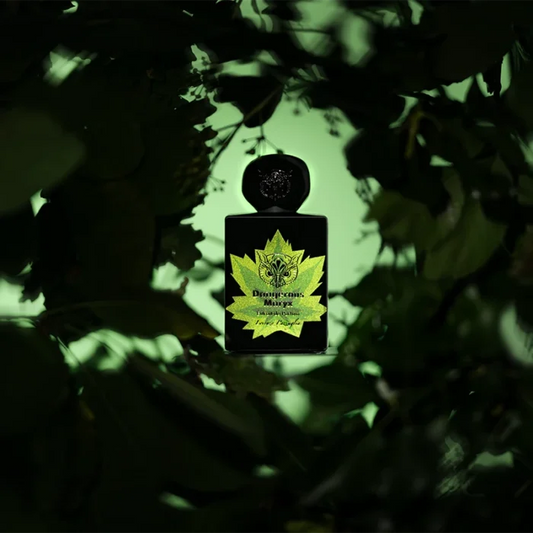 Lorenzo Pazzaglia - Dangerous Maryx - extrait sample 2ml